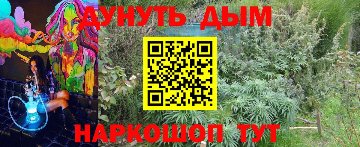 Бошки Шишки Amnesia  Шишки марихуана AK-47  Конопля сатива  Майский 